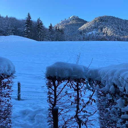 Appartement 2 Pieces Pieds Des Pistes Terrasse Face A La Montagne 베르넥스 외부 사진