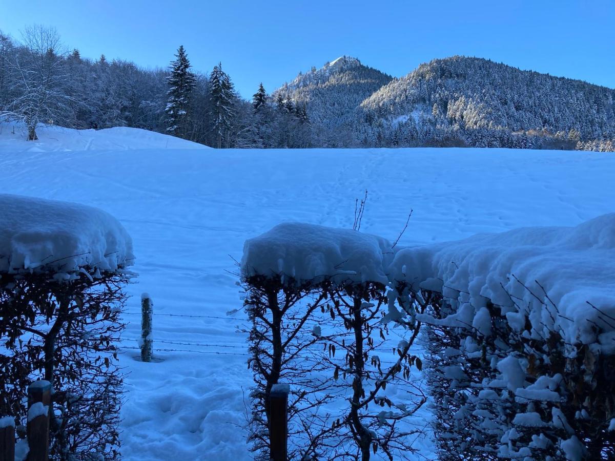 Appartement 2 Pieces Pieds Des Pistes Terrasse Face A La Montagne 베르넥스 외부 사진