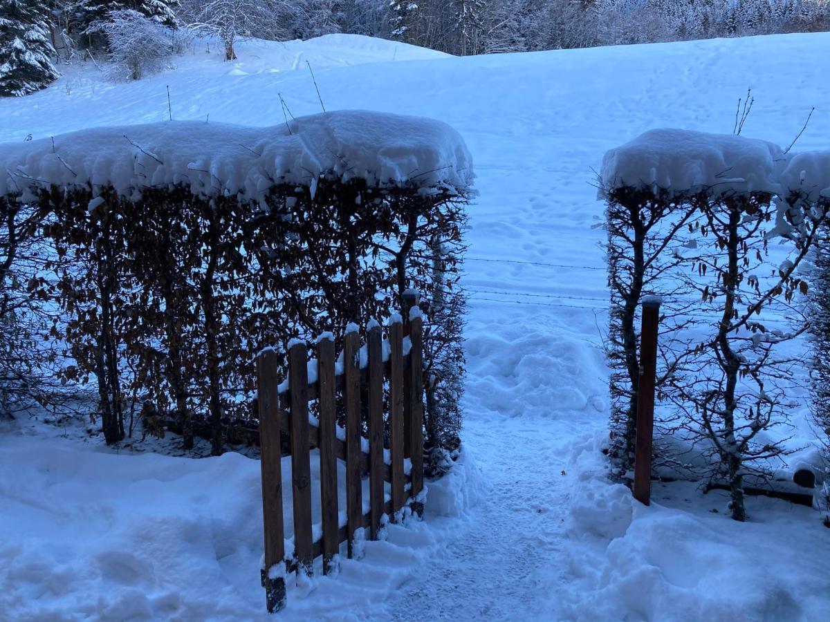 Appartement 2 Pieces Pieds Des Pistes Terrasse Face A La Montagne 베르넥스 외부 사진